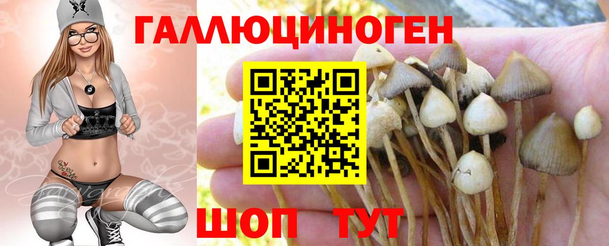 Галлюциногенные грибы Cubensis  Вход с VPN  сколько стоит  Алексеевка  Галлюциногенные грибы Magic Shrooms 